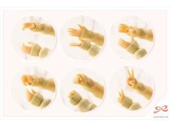 Kotobukiya Sousai Shoujo Teien Touou High School Winter Clothes Madoka Yuki 1/10 Scale Model Kit 33 Kotobukiya Sousai Shoujo Teien Touou High School Winter Clothes Madoka Yuki 1/10 Scale Model Kit -Model Figures Shop 419716ea a12c 4d35 8e8e d572eee3add7